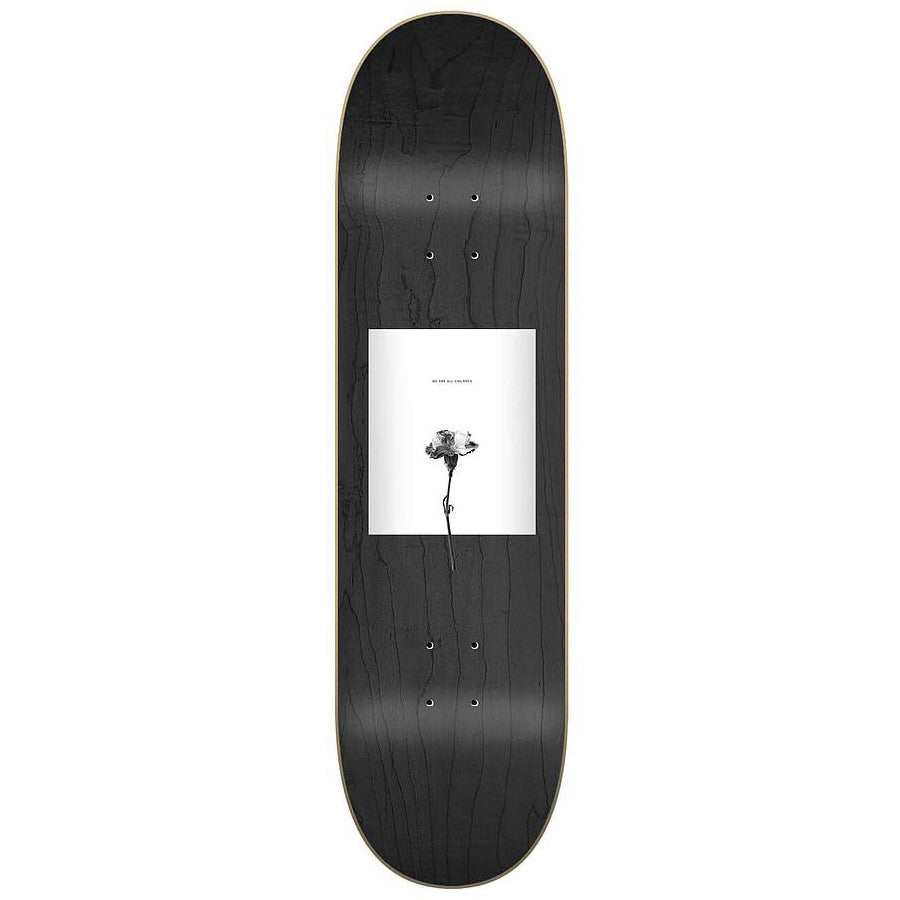 Sovrn Playground 8.25" Skateboard Deck