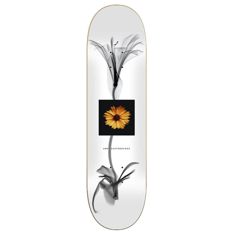 Jart Lc X Ray 8.25" Skateboard Deck