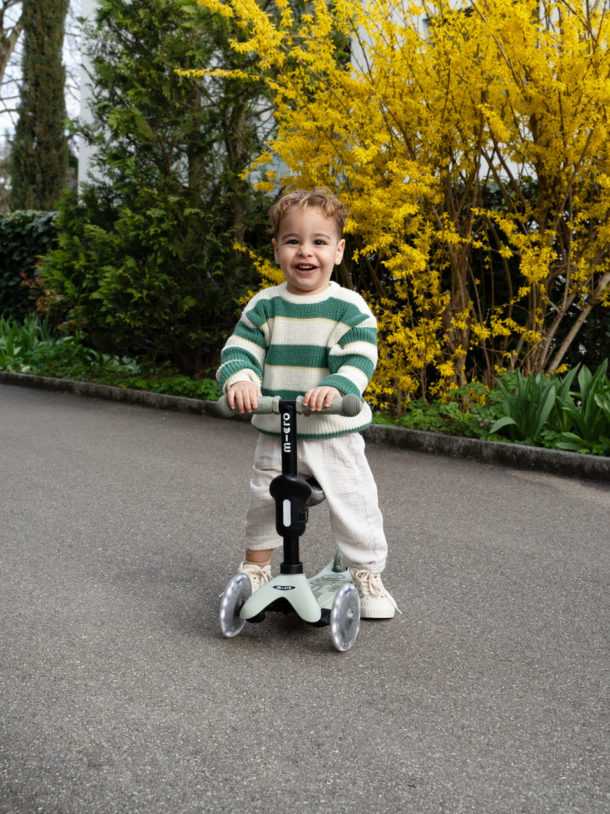 Micro Mini2Grow 2.0 Vert Sauge Led
