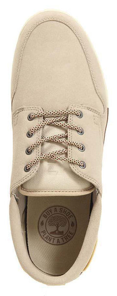 Etnies Durham Tan