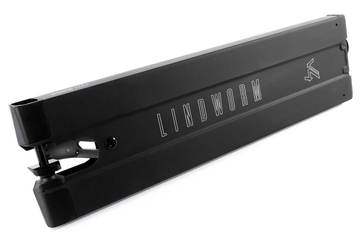 Deck Ethic Dtc Lindworm V4 170 Noir