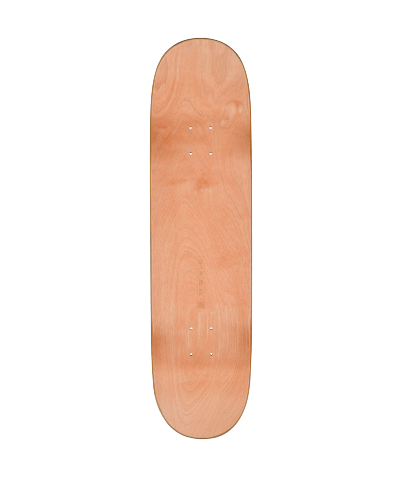 Planche de skateboard Globe G1 Visitation Terra Bay 8,25"