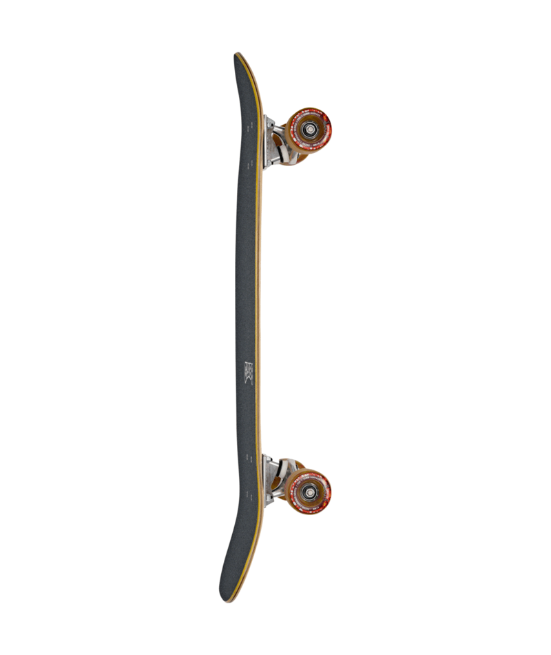 Tracer Neue