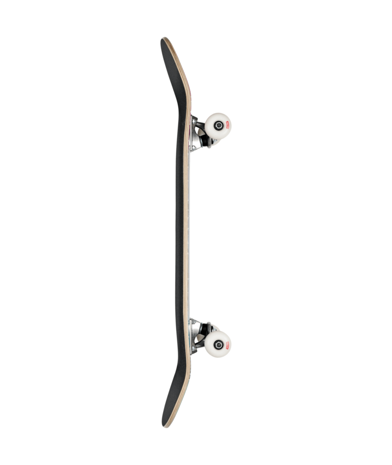 Skateboard complet Globe G0 Hive Blur 8,25"