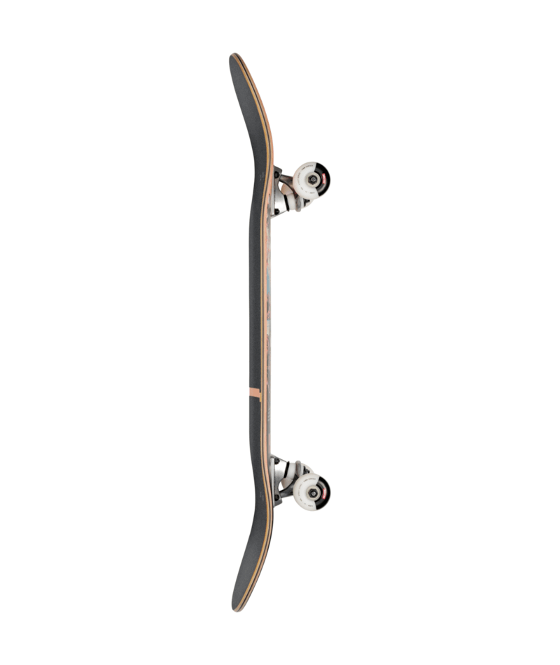 Skateboard complet Globe G1 Visitation Terra Bay 8,25"