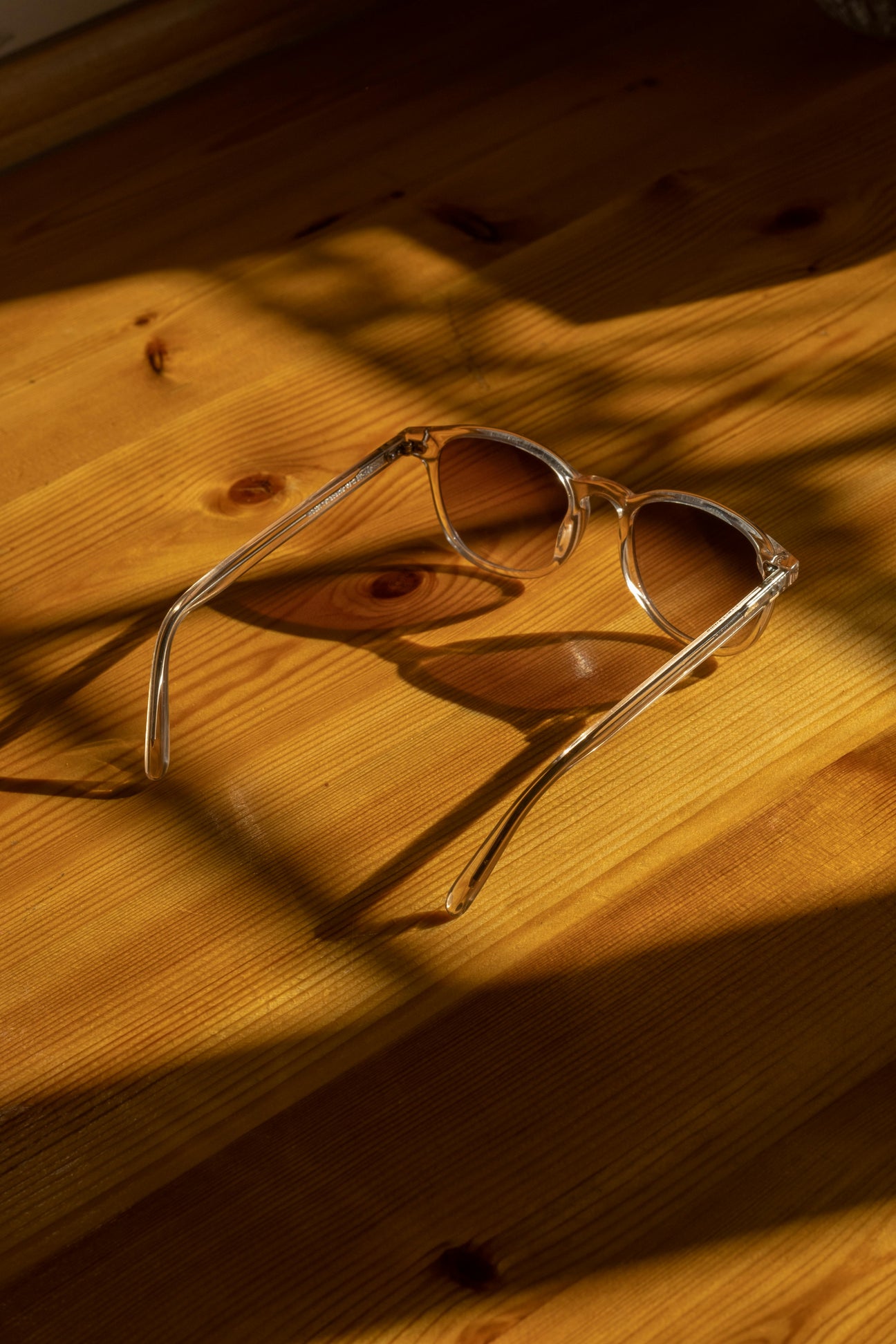 Lunettes de soleil
