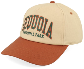 Casquette American Needle NP Sequoia Roscoe Light Straw Orange