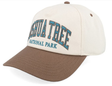 Casquette American Needle NP Joshua Tree Roscoe Ivory Espresso