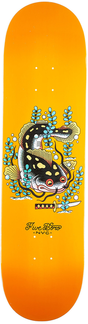 5Boro Deck Fish Series Brooklyn Catfish