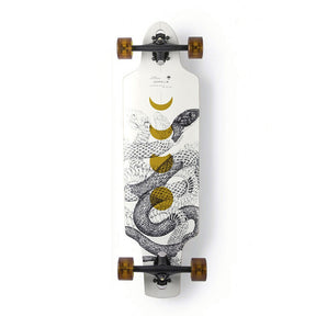 Arbor Zeppelin 32" Longboard Complete 2