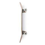 Arbor Cucharon Solstice 8.75” Skateboard Complete