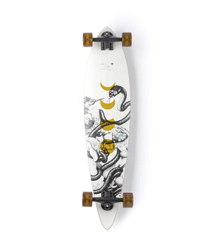 Arbor Fish 37" Longboard Complete 7