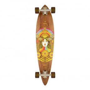 Arbor Fish 37" Longboard Complete 1