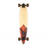 Arbor Fish 37" Longboard Complete 2