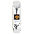 Jart Lc X Ray 8.25" Skateboard Deck