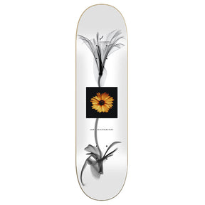 Jart Lc X Ray 8.25" Skateboard Deck