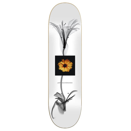 Jart Lc X Ray 8.25" Skateboard Deck