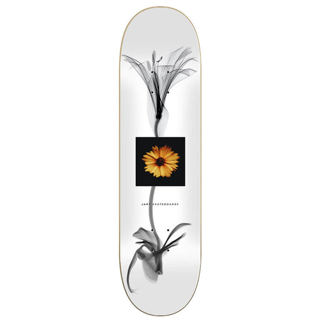 Jart Lc X Ray 8.25" Skateboard Deck