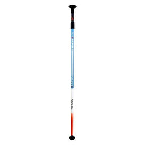 Hamboards Sup Skate Race Land Paddle