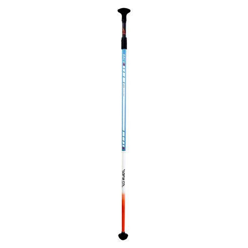 Hamboards Sup Skate Race Land Paddle