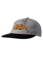 Casquette Arbor Beast Black / Light Grey