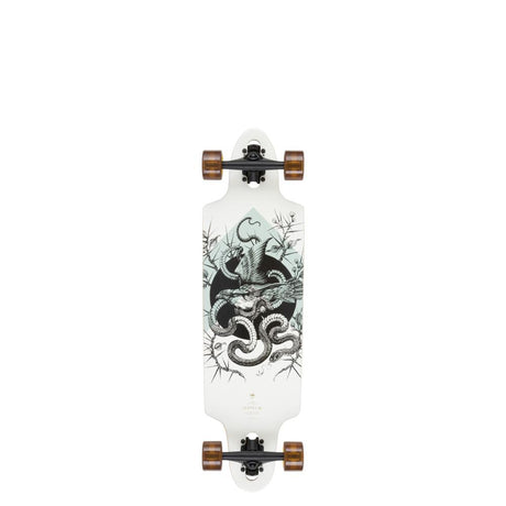 Arbor Cruiser Complete (Uk) Bamboo Zeppelin