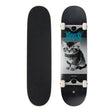 Skateboard complet Arbor Revert Kitten 8"