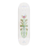 Arbor Pro Deck (Uk) Amelia Venus 8.5