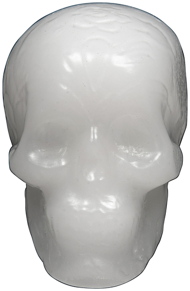 Andale Wax Skull White