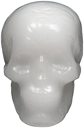 Andale Wax Skull White