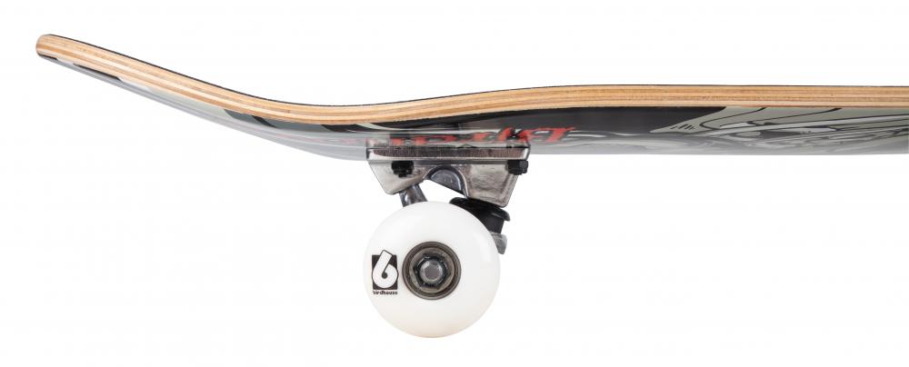 Birdhouse Complete Stage 1 (Uk) Hawk Falcon Iii