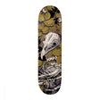 Planche de skateboard Birdhouse Shawn Hale Tillbrook 8,75"