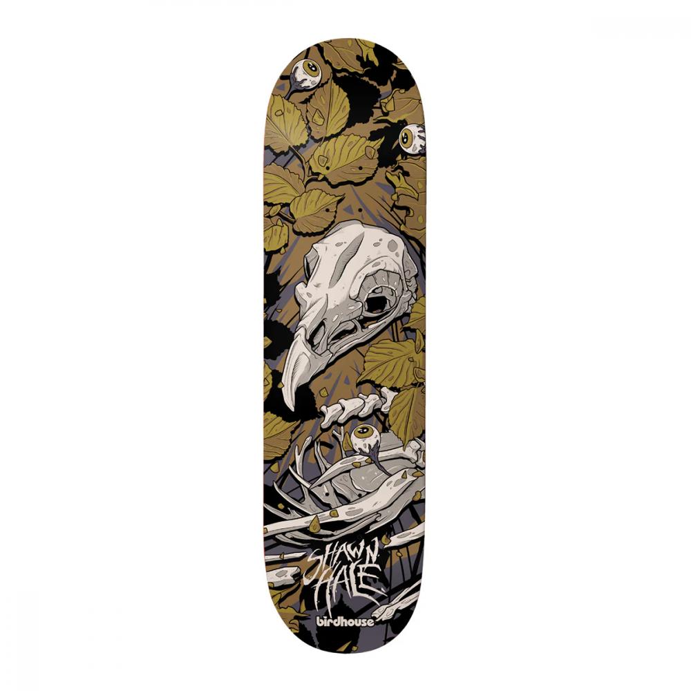 Planche de skateboard Birdhouse Shawn Hale Tillbrook 8,75"