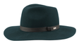 Chapeau Coal The Horizon Forest Green