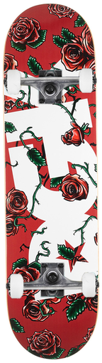Dgk Complete 8.25 Bloom