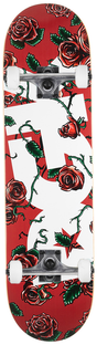Dgk Complete 8.25 Bloom