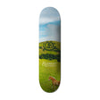 Planche de skateboard Element Roam Free Assorted 8,5"