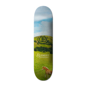 Planche de skateboard Element Roam Free Assorted 8,5"