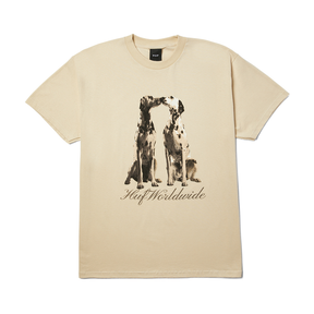 Tee-shirt Huf Dogged SS Bleach