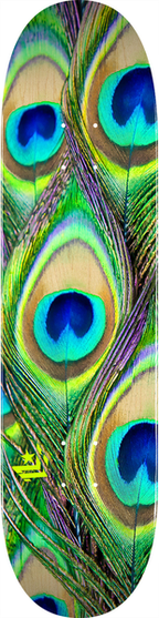 Mini Logo Deck Fin Fur Feather 18 Peacock