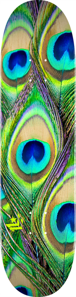 Mini Logo Deck Fin Fur Feather 18 Peacock
