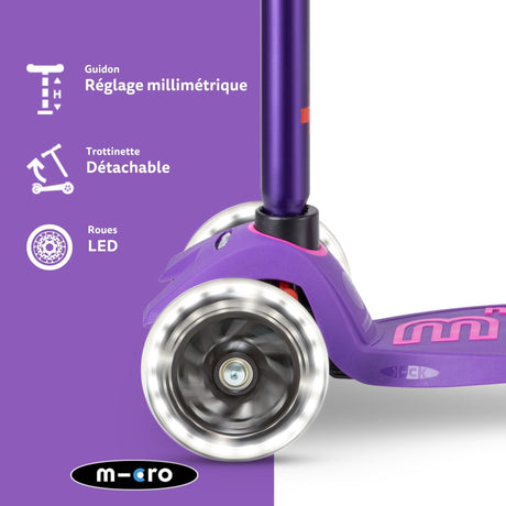Maxi Micro Deluxe Violet Led