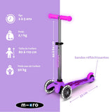 Mini Micro Deluxe Glow Rose Led