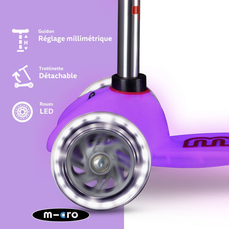 Mini Micro Deluxe Glow Rose Led