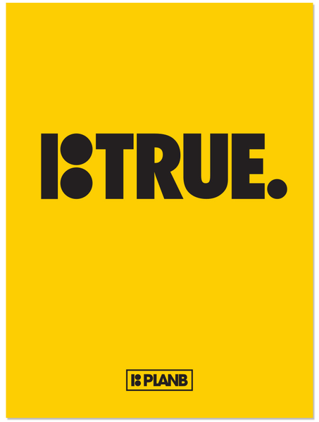 Plan B Dvd True