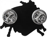Powell Pin Ants