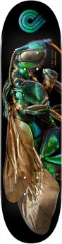 Powell Deck Ps Biss Orchid Cuckoo Bee
