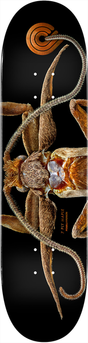 Powell Deck Ps Biss Marion Moth
