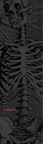 Grip skateboard Powell Peralta Skull & Sword Skeleton 9" x 33"