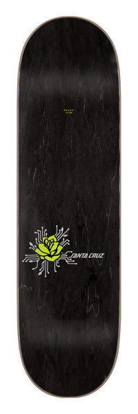 Santa Cruz Deck Wooten Duo